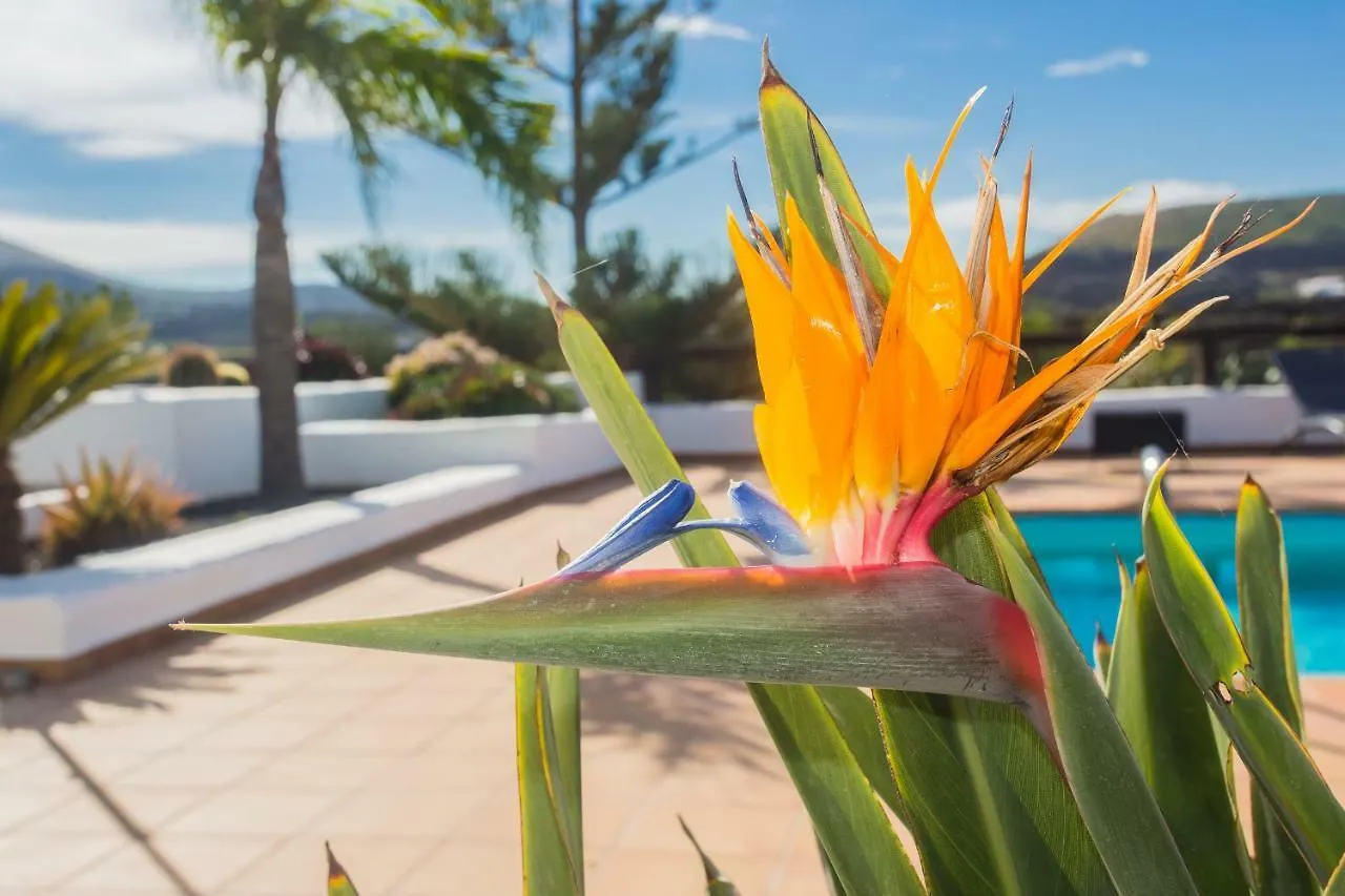 Casa El Quinto Villa La Vegueta Spanien
